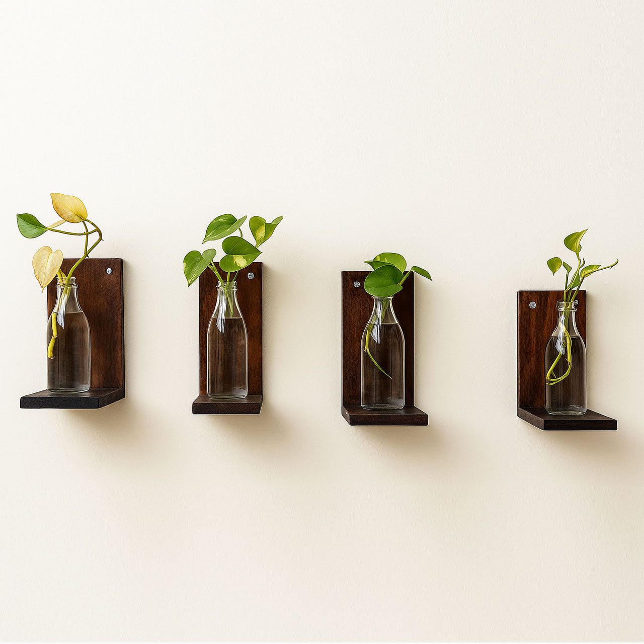 Rennover Small Wall Shelves for Plants, Mini Wall Shelves Set of 4 Hanging Plants Wooden Decor Indoor for Living Room Bedroom Bathroom Kitchen Office Decoration