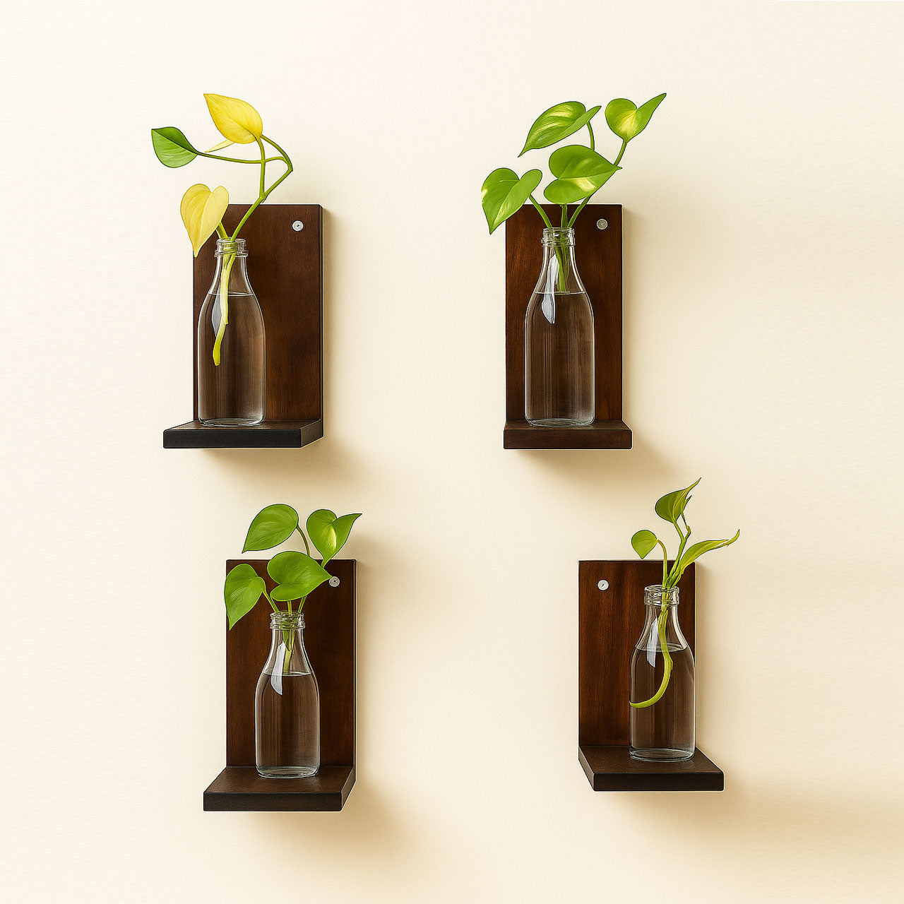 Rennover Small Wall Shelves for Plants, Mini Wall Shelves Set of 4 Hanging Plants Wooden Decor Indoor for Living Room Bedroom Bathroom Kitchen Office Decoration